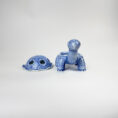 Torkoal001