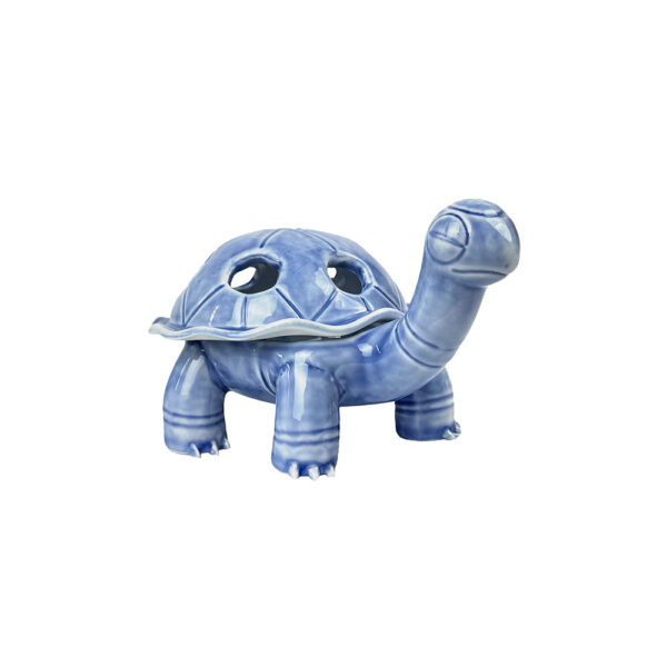Torkoal002s